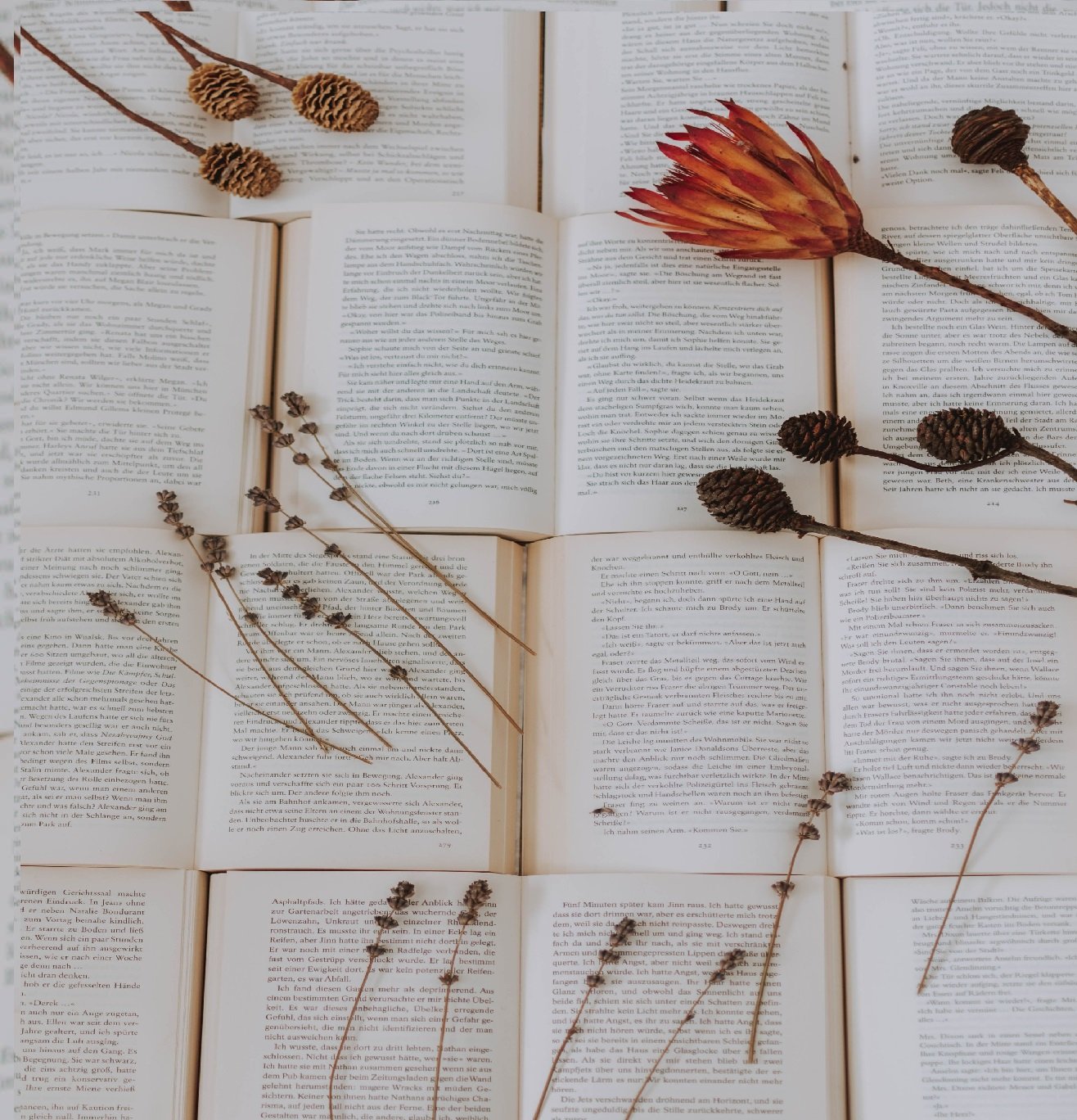 Uncovering the Core Ontology in Data Integration through Bestselling Books